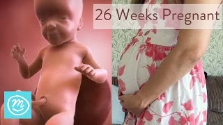 26 Weeks Pregnant What You Need To Know  Channel Mum [upl. by Suoicul]