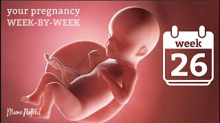 26 Weeks Pregnant  Natural Pregnancy WeekByWeek [upl. by Naerad]