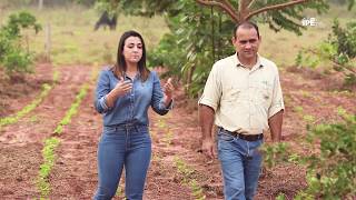 Videoaula  Sistemas Agroflorestais SAFs  Módulo 1 [upl. by Yablon]