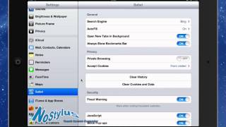 Safari Settings on iPad [upl. by Morez545]