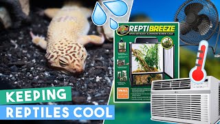 How To SAFELY Keeps Your Reptiles Cool In HOT Weather 🔥 [upl. by Lyle]