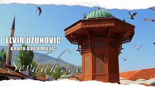 Elvir UzunovicSplet bosanskih sevdalinki na harmoniciinstrumental [upl. by Dnalon]