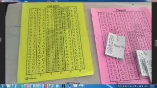 LAB Recombinant DNA using Paper Plasmids [upl. by Yelrebmik]