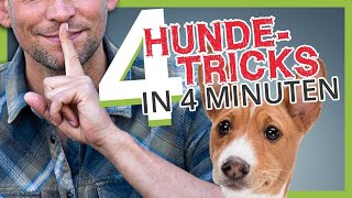 4 HUNDETRICKS in 4 MINUTEN [upl. by Talbot52]