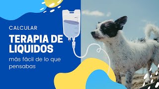 ¡¡¡CALCULA TERAPIA DE LIQUIDOS EN PERROS Y GATOS FACIL [upl. by Ikcin566]