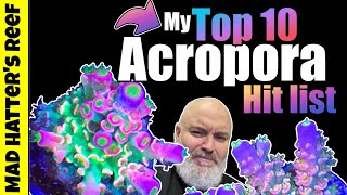 My Top 10 Acropora Hit List [upl. by Rebe956]