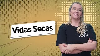 Vidas Secas  Análise Literária  Brasil Escola [upl. by Areid]