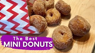 Homemade Mini Donuts Recipe just like the ones at the FAIR [upl. by Vidovic]