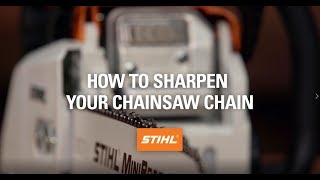 How to Sharpen Your Chainsaw Chain [upl. by Nnep]