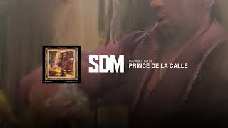 SDM  Prince De La Calle Audio Video [upl. by Eimile159]