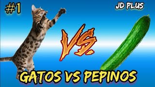 GATOS Vs PEPINOS 2020  PRIMERA PARTE [upl. by Nylecoj]