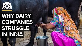 Why Big Dairy Companies Struggle In India [upl. by Carbrey]