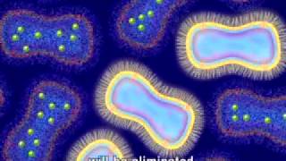 Animation of Antimicrobial Resistance [upl. by Missie891]