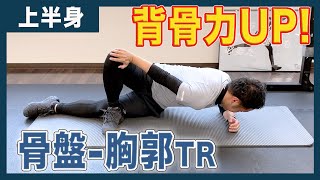 【上半身トレーニング】骨盤と胸郭の分離トレーニング4種類【解説】 [upl. by Feeley]