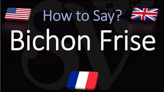 How to Pronounce Bichon Frisé CORRECTLY English French Dog Breed Pronunciation [upl. by Nerland398]