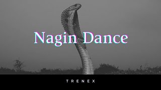 Naagin Song Remix DJ Charles  Aastha Gill Akasa  New Song Full Video [upl. by Ogdan]