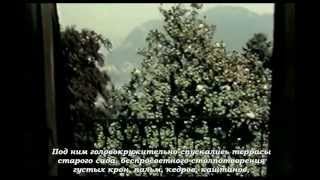 Hermann Hesses Long Summer Part 1 of 4 Inspirational Documentary [upl. by Olotrab841]