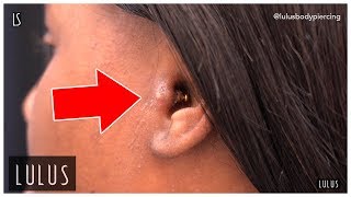 Wow This Tragus Piercing Is BAD [upl. by Goldsmith]