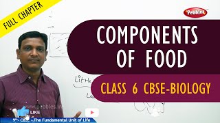 COMPONENTS OF FOOD full chapter  Biology  Class 6  CBSE Syllabus [upl. by Meijer462]