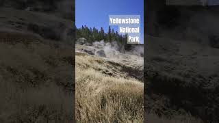 Yellowstone National Park Ledger Geyser [upl. by Stauder]