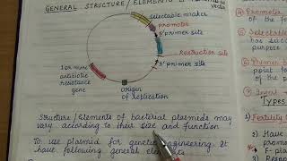 Bacterial Plasmids part 1 [upl. by Ducan]