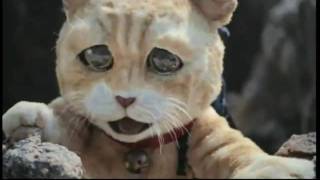 萬寧貓咪故事廣告 全集 Mannings Cat Meow Story 2012 [upl. by Loos]