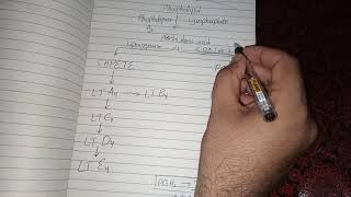 Arachidonic Acid Metabolism and Function [upl. by Dyche]