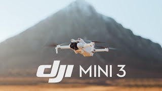 Meet DJI Mini 3 [upl. by Noirod]