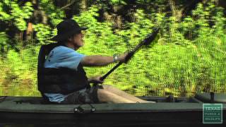 Caddo Lake Paddling Trails [upl. by Adidnac]