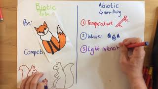 Biotic and Abiotic Factors  p67 [upl. by Rawde]