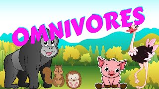 Omnivores  Types of Animal  Science for Kids [upl. by Aihsoem]