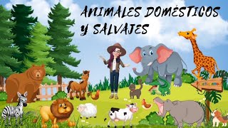 ANIMALES DOMESTICOS 🐶 y SALVAJES 🦒 para NIÑOS [upl. by Ailyt]