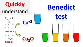 Benedicts test [upl. by Nathanial]