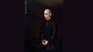 Sitting with the Buddha  Guided Meditation by Thich Nhat Hanh [upl. by Aislehc378]