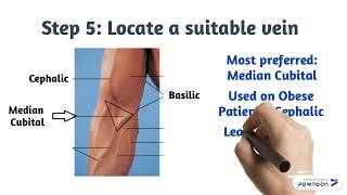 Phlebotomy How to Draw Blood [upl. by Nylhtiak]