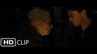 Godrics Hollow Part 2  Harry Potter and the Deathly Hallows Part 1 [upl. by Paule]