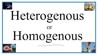 Heterogenous vs Homogenous Definitions Examples amp Practice [upl. by Yona]