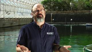 Biosphere 2 Short Documentary [upl. by Weeks]