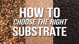 HOW TO Choose an Aquarium Substrate [upl. by Keelby]