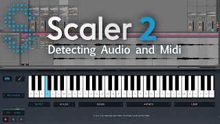 Scaler 2 Workflow  Audio amp Midi Detection [upl. by Hi]