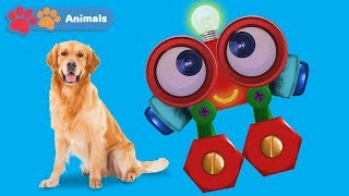 Learn About Dogs amp Animals for Kids with Robi  Animals Names amp Sounds  Wild Animals for Children [upl. by Witherspoon]