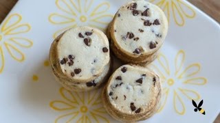 Chocolate Chip Shortbread Cookies Recipe [upl. by Lukash]