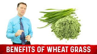 12 Scientific Health Benefits of Wheat Grass Powder by Dr Berg [upl. by Annmaria]