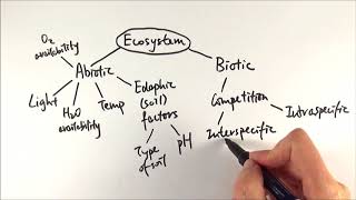 A2 Biology  Factors affecting an ecosystem OCR A Chapter 231 [upl. by Wesle]