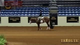 2020 NSBA World Show Ford Truck Arena Friday August 14 2020 [upl. by Ayrad]