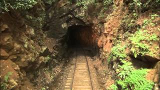 Great Smoky Mountains Railroad [upl. by Eduam]