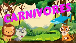 Carnivores  Types of Animals  Science for Kids [upl. by Flanagan]