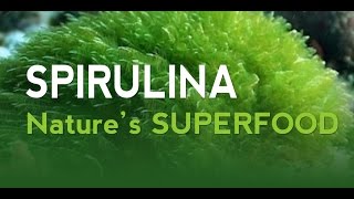 Spirulina  21st Century Superfood [upl. by Nolrac]