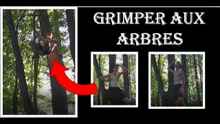 COMMENT APPRENDRE A GRIMPER AUX ARBRES [upl. by Sueddaht419]