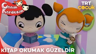 Canım Kardeşim  Kitap Okumak Güzeldir [upl. by Nycila47]